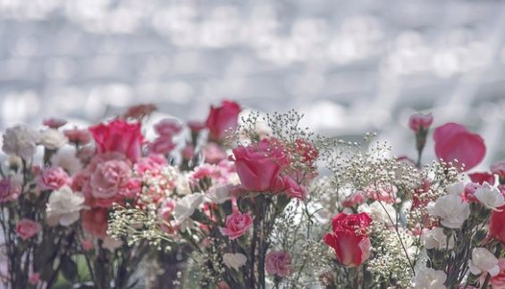 Nelken und Schleierkraut als Hochzeitsblumen