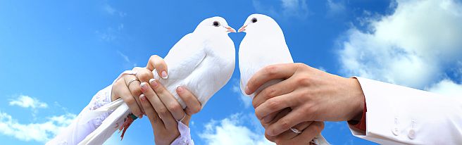 Hochzeit am Standesamt – Eheschließung rechtswirksam